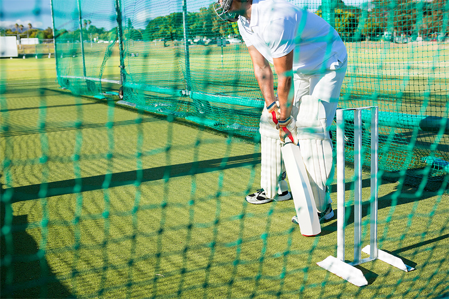 cricket net